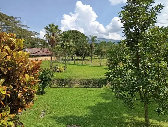 Vendo Hermosa Finca Ubicada En Montalban Yb