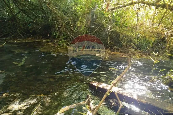 Parcelas En Venta Pucón Villarrica