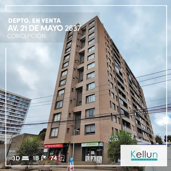 Depto. Con Terraza En Venta En Concepción 
