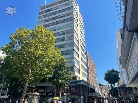 Céntrico Departamento En Concepción