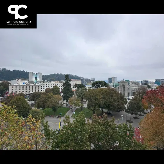 Departamento Frente Plaza Concepcion (99101)
