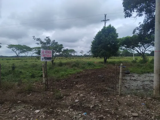 Lote Pastos 4 Hectáreas Bien Ubicado Vereda San Nicolas