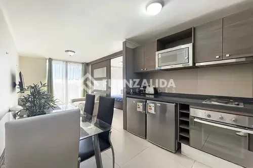 Departamento En Venta De 1 Dorm. En Santiago