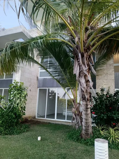 Gl Town House En Tucacas Res. Puerto Morrocoy 