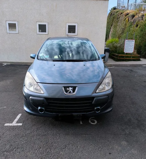 Peugeot 307 X-line 5p. 1.6 Mec.