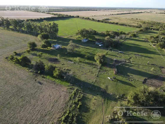 Campo En Venta De 520 Has Mixtas En Entre Rios