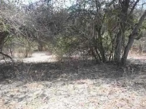 Terreno En Alpuyeca, Barranca Frio