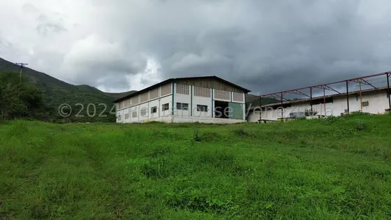 En Venta Terreno En Urb. Las Guacharacas. San Francisco De Asís  25-16205 Hp