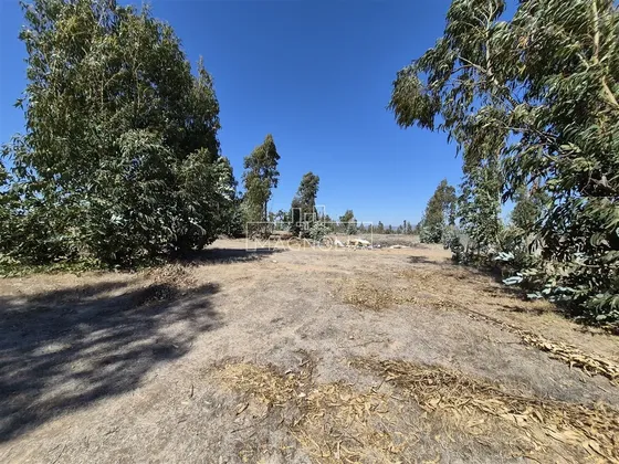 Sitios Desde 552 Uf - Vive Cerca Del Mauco