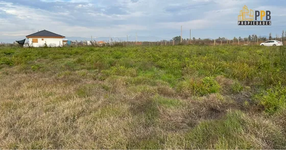 ¡gran Oportunidad! Parcela De 5.000 M² En Fundo Loncomilla