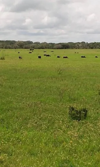 Finca Ganadera En Venta Ubicada En Carretera Calabozo A 10 Min De San Fernando  / Ag7856
