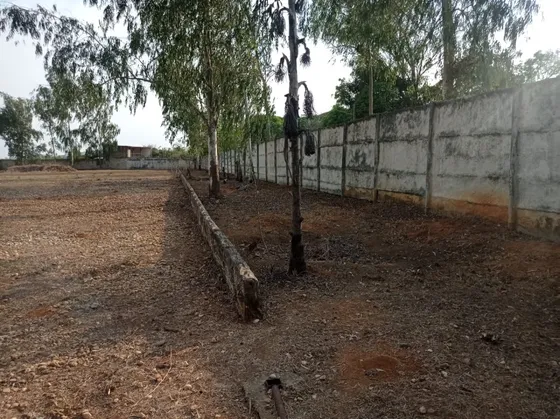 Grey Zuloaga Y Javier Philip Inzitu Realtors Venden Finca En Taguanes  Tinaquillo Cojedes  Venezuela