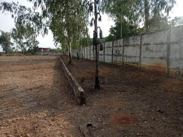 Nueva Captacion Finca Taguanes Tinaquillo Estado Cojedes $47.000 Leandro Araque Inzitu Realtors Vende  Finca En Taguanes, Tinaquillo, Estado Cojedes, Venezuela