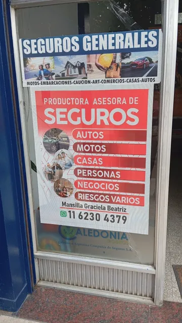 Productora De Seguros Y Mandataria