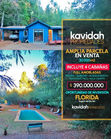 Amplia Parcela Con 4 Cabañas Y Piscina En Florida, Bíobío