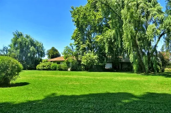 Agrícola En Venta En Rengo