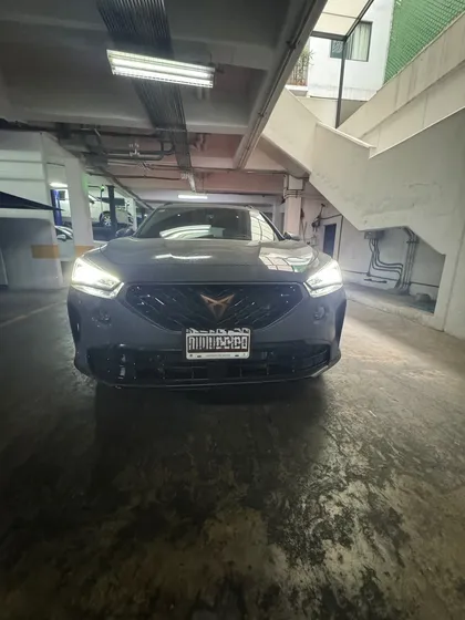 Cupra Formentor 2.0 190hp 2wd Dsg7