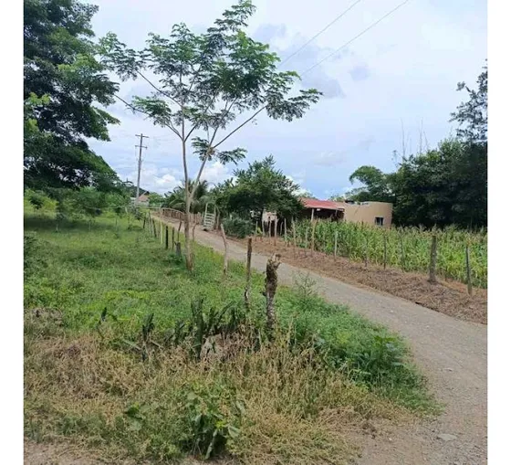 Finca En Venta Via Al Cerrito