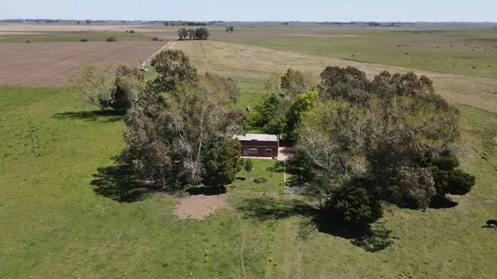 Campo En Venta - 8ha - Lezama