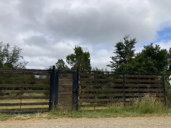 Se Vende Terreno 13.000 M2 En Lomas Del Sol, Valdivia