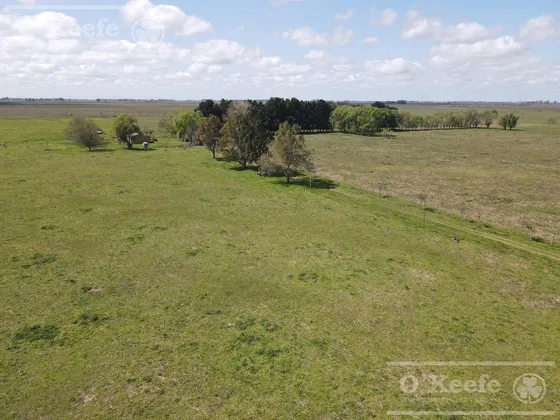 Campo En Venta 288  Has En Magdalena - Mixto.