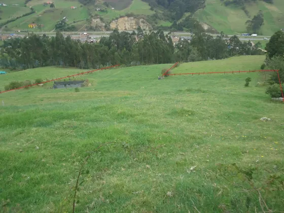 Se Vende Finca Idonea Para Su Proyecto 