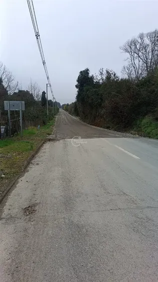 Sitio En Venta En Mariquina