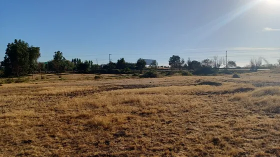 En Venta  3 Parcelas De 5.000 Mts2 Cada Una, Los Ángeles Bio