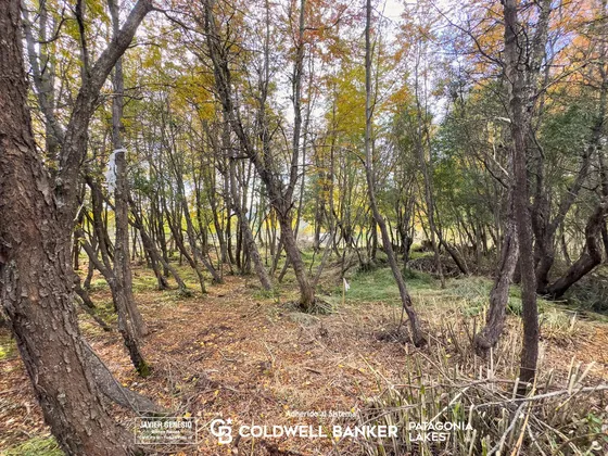 Venta Lote/terreno Financiado 221m2  Uf 3c  Las Balsas Villa La Angostura