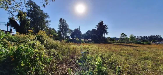 Lotes Planos En Mesa De Jaimes