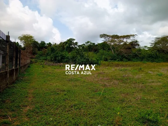 Remax Vende Terreno De 9.923 M2 En El Poblado De Sanare, Falcon