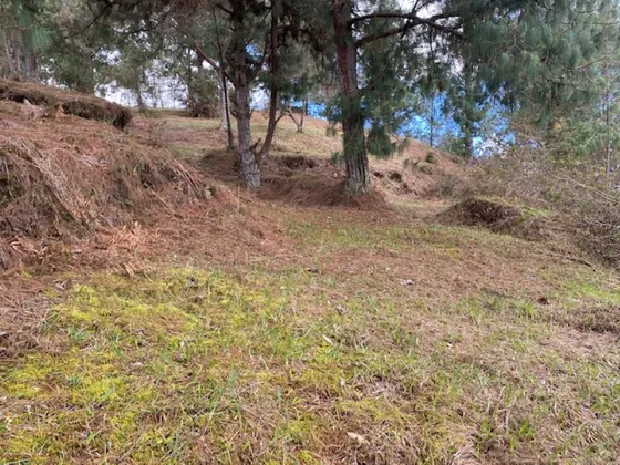 Lote En Venta Ubicado En Envigado Sector Vereda Alto De Las Palmas (25429).