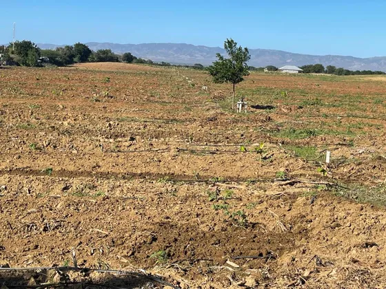 Finca En Venta Mao