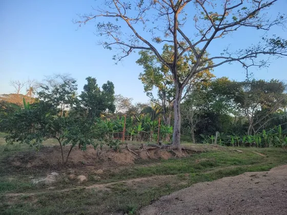 Global Vende   Hermosa Finca De 28 Hectáreas  En Urbanización Tocuyito  Sector La Yaguara (vía Campo Carabobo)