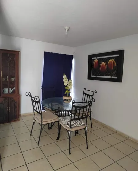 Se Renta Casa Amueblada Col Los Olivos Celaya 