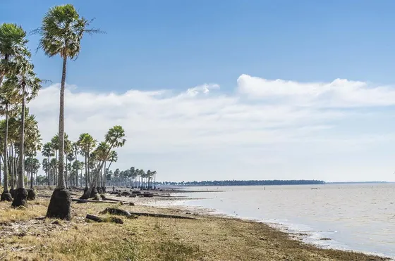 Campo De 7.000 Ha En Venta - Vera, Santa Fe