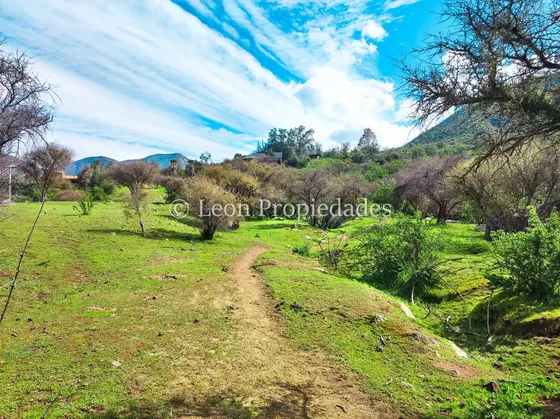 Se Vende Parcela De 1,2 Ha En Sector Los Naranjos Curacaví.