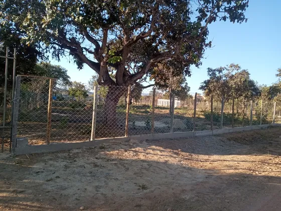 Uma Chácara De Esquina Todo Fechado De Tela 