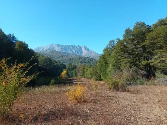 421 Has En Potrero Grande A 55km De Curico
