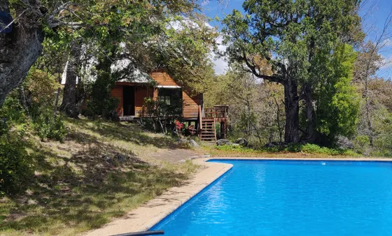 Cabañas/parcela Chillan - Las Trancas 5000 M2. 2 Casas