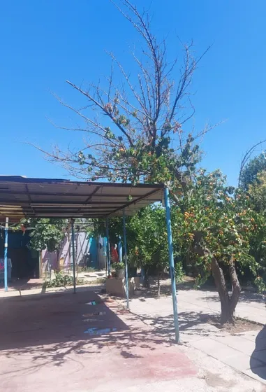 Sitio De 400 M2 Con Casa Y Departamento En El Bosque