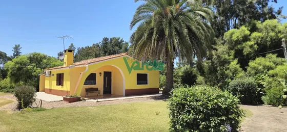 Casa Con Gran Terreno De 9026 M2 Sobre Ruta 11 