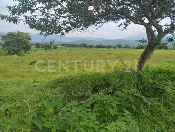 Terreno Rustico En Venta Miacatlán Mor.
