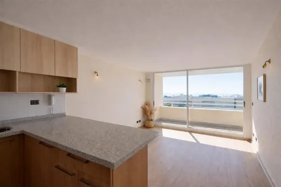 Departamento En Venta De 1 Dorm. En La Cisterna