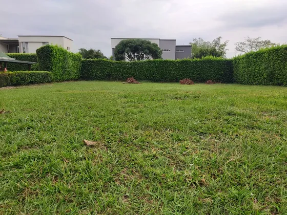 Vendo Hermoso Lote, Sector Alfaguara. Km 3 Vía Chipaya, Área 550 M². Condominio Completo.