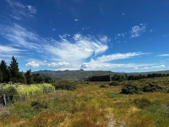 Campo En Venta - 212hectareas - San Martín De Los Andes