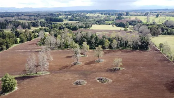Agrícola En Venta En Fresia