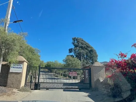 Algarrobito, La Serena