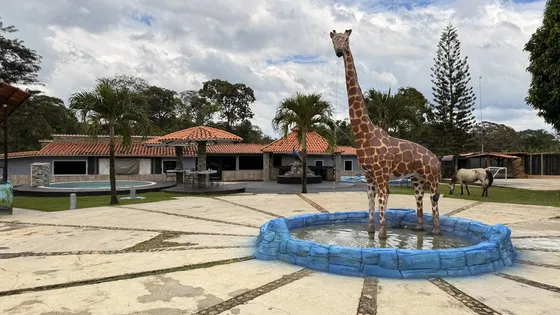 Annic Coronado Vende Finca De Lujo En Sabana Del Medio, Tocuyito 331586