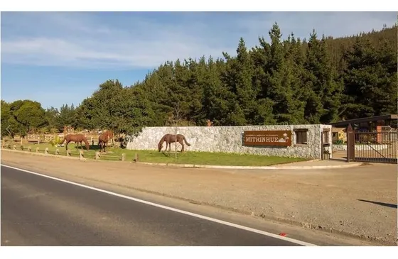 Oportunidad Sitio En La Reserva De Mitrinhue